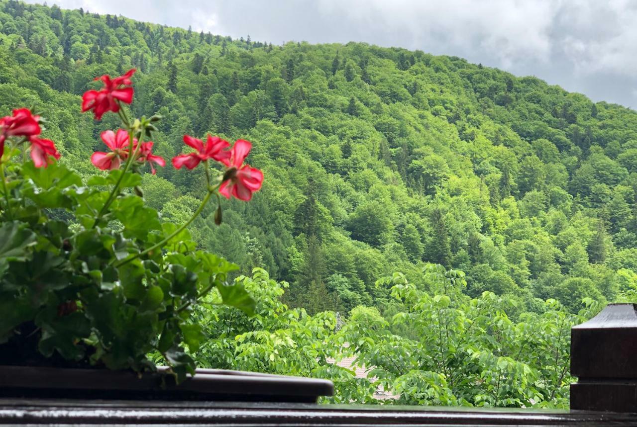 Appartamento Chez Marcel Sinaia Esterno foto