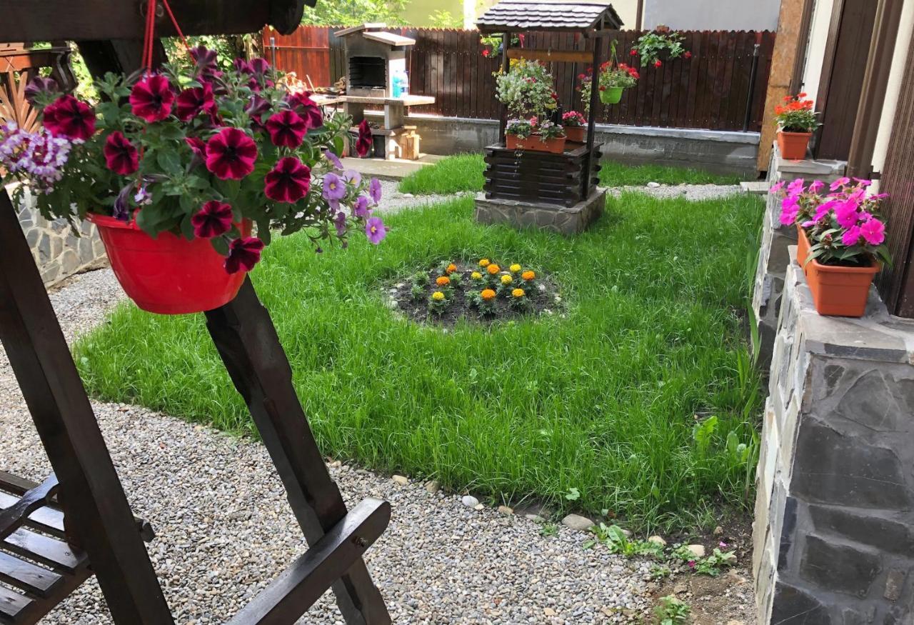 Appartamento Chez Marcel Sinaia Esterno foto